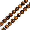 Buy Round pearl in quartz at ... â € Tiger eye 4mm on wire (1)