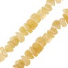 Buy Bead yellow jade chips 6mm on wire (1)