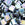 Beads wholesaler Cc401fr - perles Miyuki tila matte black ab 5mm (5g)