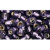 Buy cc39 - perles de rocaille Toho 6/0 silver lined tanzanite (10g)
