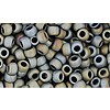 Buy cc613 - Toho rock beads 8/0 matt color iris grey (10g)