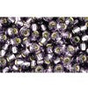 Buy cc39 - Toho rock beads 8/0 silver lined tanzanite (10g)
