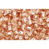 Buy cc31 - perles de rocaille Toho 8/0 silver lined rosaline (10g)