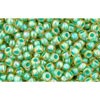 Buy cc1830 - perles de rocaille Toho 11/0 rainbow light jonquil/ mint (10g)