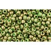 Buy cc1702 - perles de rocaille Toho 11/0 gilded marble green (10g)