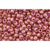 Buy Cc960 - perles de rocaille Toho 11/0 light topaz/ pink lined (10g)