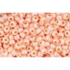Buy cc904 - Toho rock beads 11/0 ceylon apricot (10g)
