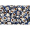 Buy cc992 - perles de rocaille toho 6/0 gold lined light montana blue (10g)