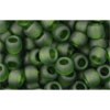 Buy cc940f - perles de rocaille Toho 6/0 transparent frosted olivine (10g)