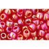 Buy CC165C - Toho 6/0 Rainbow Ruby Rock Beads (10g)