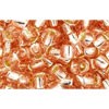 Buy cc31 - Toho rock beads 6/0 silver-lined rosaline (10g)