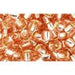 Achat cc31 perles de rocaille Toho 6/0 silver-lined rosaline (10g)
