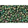 Buy CC707 - Rocker Beads Toho 11/0 Matt Color Iris Peridot (10g)