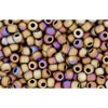 Buy cc614 - Toho rock beads 11/0 matt color iris brown (10g)