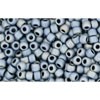 Buy CC612 - Rocker Beads Toho 11/0 Matt Color Gun Metal (10g)