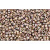 Buy cc999 - perles de rocaille Toho 15/0 gold lined rainbow black diamond (5g)