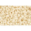 Buy cc762 - perles de rocaille Toho 15/0 opaque-pastel-frosted egg shell (5g)