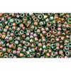 Achat au détail cc247 perles de rocaille Toho 15/0 inside colour peridot/oxblood lined (5g)