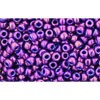 Buy CC461 - Toho 11/0 High Rock Beads Grape (10g)