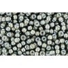 Buy cc371 - perles de rocaille Toho 11/0 black diamond/white lined (10g)