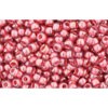 Buy cc291 - Toho rock beads 11/0 transparent lustered pink/mauve lined (10g)