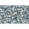 Buy cc288 - perles de rocaille Toho 11/0 inside colour crystal metallic blue lined (10g)