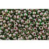 Buy cc250 - Toho rock beads 11/0 peridot/fuchsia lined (10g)