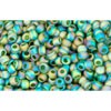 Achat au détail cc179f perles de rocaille Toho 11/0 transparent rainbow frosted green emerald (10g)