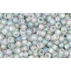 Acheter cc176af perles de rocaille Toho 11/0 transparent rainbow frosted black diamond (10g)