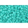 Buy CC55F - Rocker Beads Toho 11/0 Opaque frosted turquoise (10g)