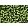Buy cc37f - perles de rocaille Toho 11/0 silver lined frosted olive (10g)