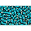 Buy cc27bdf - perles de rocaille Toho 11/0 silver lined frosted teal (10g)