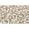 Buy cc21f - perles de rocaille Toho 11/0 silver lined frosted crystal (10g)