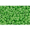 Buy cc47 - Toho rock beads 11/0 opaque mint green (10g)