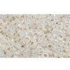 Buy cc2100 - perles de rocaille Toho 11/0 silver-lined milky white (10g)