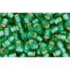 Buy cc24bf - perles de rocaille Toho 8/0 silver lined frosted dark peridot (10g)