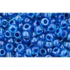 Buy cc932 - Toho rock beads 8/0 aqua/capri lined (10g)