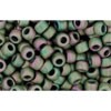 Buy CC708 - Rocker Beads Toho 8/0 Matt Color Cassiopeia (10G)
