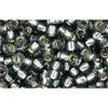 Buy cc29b - Toho rock beads 8/0 silver lined grey (10g)