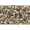 Buy cc262 - perles de rocaille Toho 8/0 inside colour crystal/gold lined (10g)