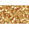 Buy cc22 - Toho rock beads 8/0 silver lined light topaz (10g)