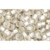 Buy cc21f - perles de rocaille Toho 8/0 silver lined frosted crystal (10g)