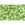 Beads wholesaler CC164 - Toho 8/0 Rainbow Lime Green (10G)