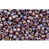 Buy cc177f - Toho rock beads 11/0 trans-rainbow frosted smoky topaz (10g)