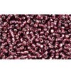 Buy cc26c - Toho rock beads 15/0 silver-lined amethyst (5g)