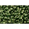Buy cc333 - toho rock beads 6/0 gold-lustered fern (10g)