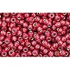 Buy cc2113 - perles de rocaille Toho 11/0 silver lined milky pomegranate (10g)