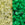 Beads wholesaler cc2721 - perles de rocaille Toho 11/0 Glow in the dark yellow/bright green (10g)