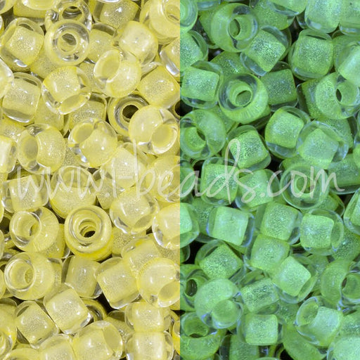 Buy cc2721 - perles de rocaille Toho 8/0 Glow in the dark yellow/bright green (10g)