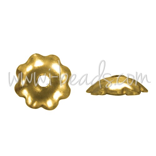 Buy Shells brass gold finish 5mm (10)